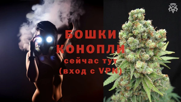 хмурый Бронницы