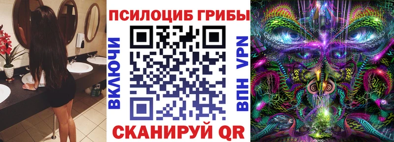 Псилоцибиновые грибы MAGIC MUSHROOMS  Купить закладки  Отрадный 